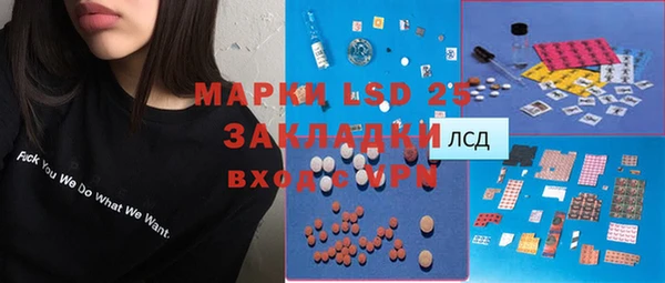 индика Нязепетровск