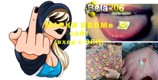 индика Нязепетровск