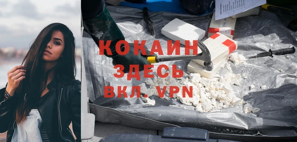 ешки Осинники