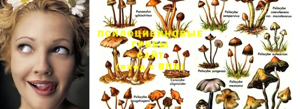 MDMA Premium VHQ Осташков