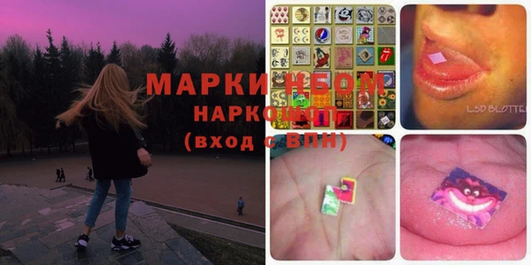 индика Нязепетровск