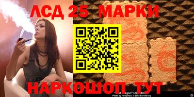 гашик Гатчина