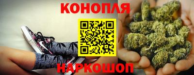 гашик Гатчина