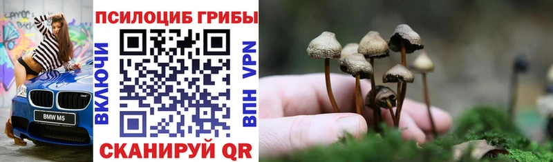 Галлюциногенные грибы прущие грибы  Лениногорск 