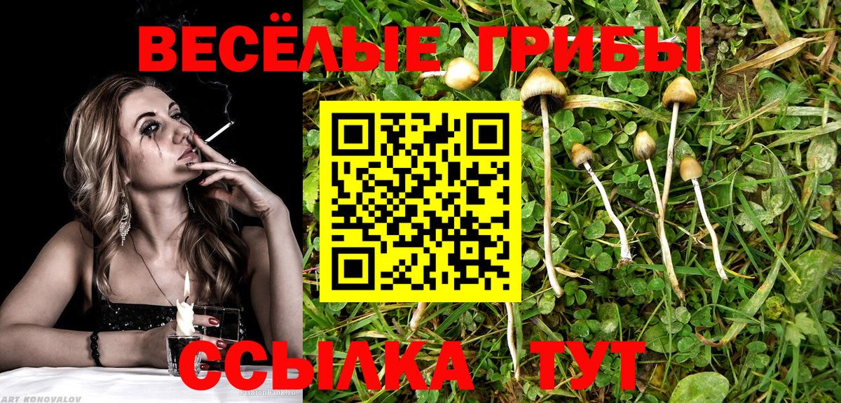 Галлюциногенные грибы мухоморы  Вход с VPN  Лениногорск 